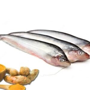 Pabda Fish