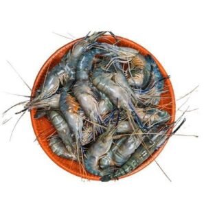 Tiger Prawn (Golda Chingri)